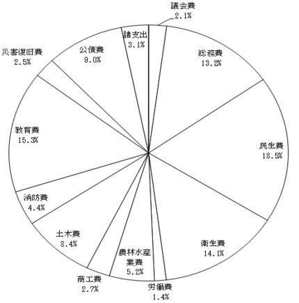 歳出の状況